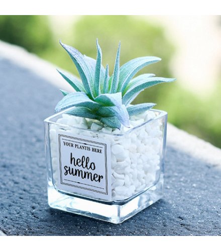 FW011 - Mini Cactus Plant Table Decorative Ornament